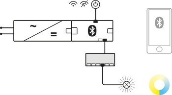 6cestný rozbočovač, Häfele Loox5, 24 V, tunable white, 3pólový, bez funkce spínače