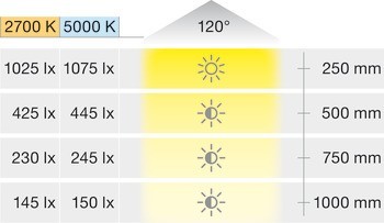 Osvětlovací LED páska, Häfele Loox5 Eco LED 2078, 12 V, 8 mm, 2pólové (tunable white), 240 LED/m, 4,8 W/m, IP20