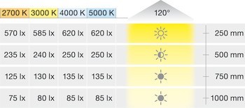 Osvětlovací LED páska, Häfele Loox5 Eco LED 3072, 24 V, 8 mm, 2pólové (jednobarevné), 120 LED/m, 2,4 W/m, IP20