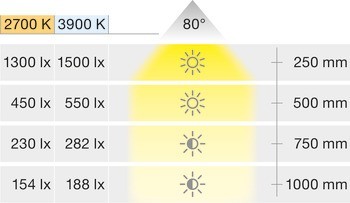 Stropní svítidlo pro povrchovou montáž, LED 1166 24 V
