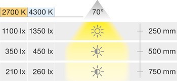 Stropní svítidlo pro zápustnou/povrchovou montáž, LED 1111, 12 V, vrtaný otvor ⌀ 58 mm, plast
