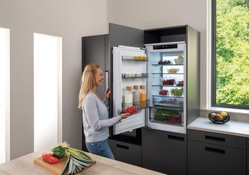 Vestavná kombinace lednice s mrazákem, Häfele Assedo RIB57S178dNa, Výška 178 cm, šířka 56 cm, objem lednice: 170 litrů, objem mrazáku: 67 litrů