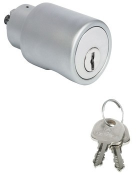 Vložka s knobkou, Häfele Symo ML Plus, modulární systém 30 mm, s vložkou s plátkovými stavítky, standardní profil