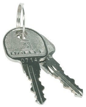 Zámek se závorou k přišroubování, Häfele Symo EC Pure E1, s pevnou vložkou s plátkovými stavítky, backset 25 mm