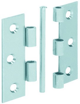 Závěs, válcované, s volným čepem