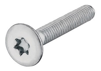 Závitový šroub, plochá hlava, drážka Torx TS 20, M4, pozink