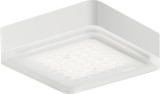Stropní svítidlo pro povrchovou montáž,  Nimbus Modul Q 36 ON-XD, 230 V